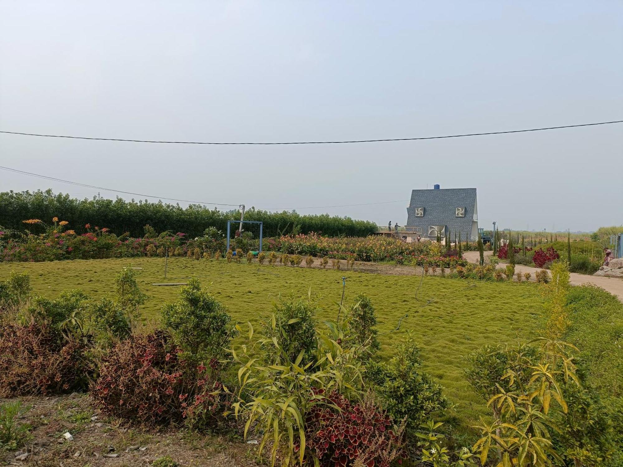 Nisarg Farm Villas Širdi Exteriér fotografie